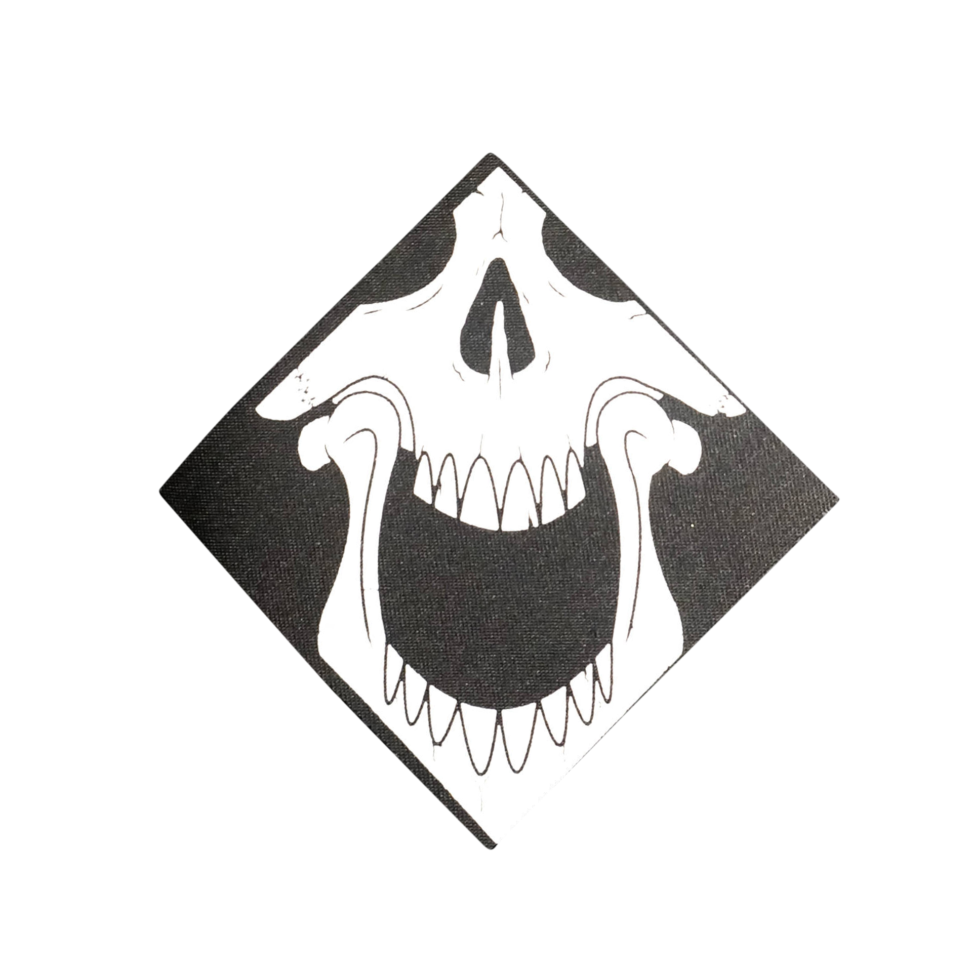Screaming Skull Patch