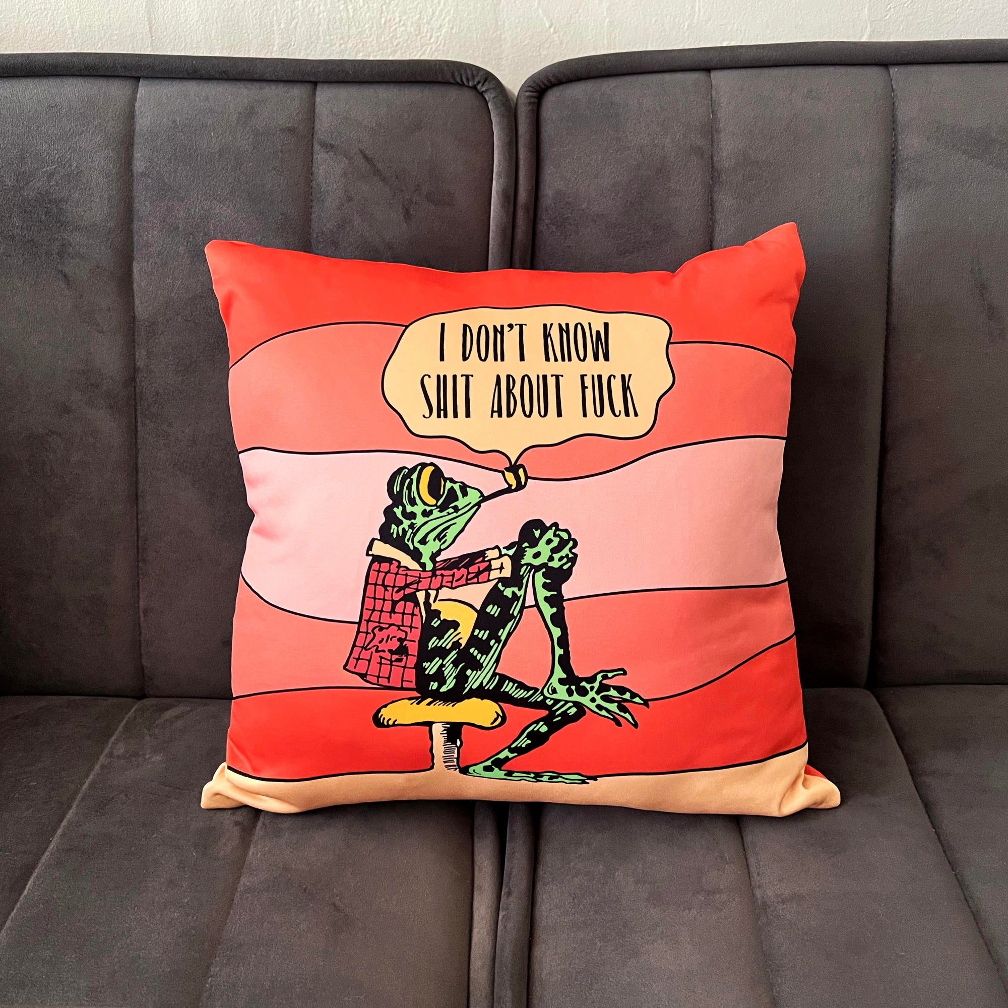 I Don't Know Frog Pillow