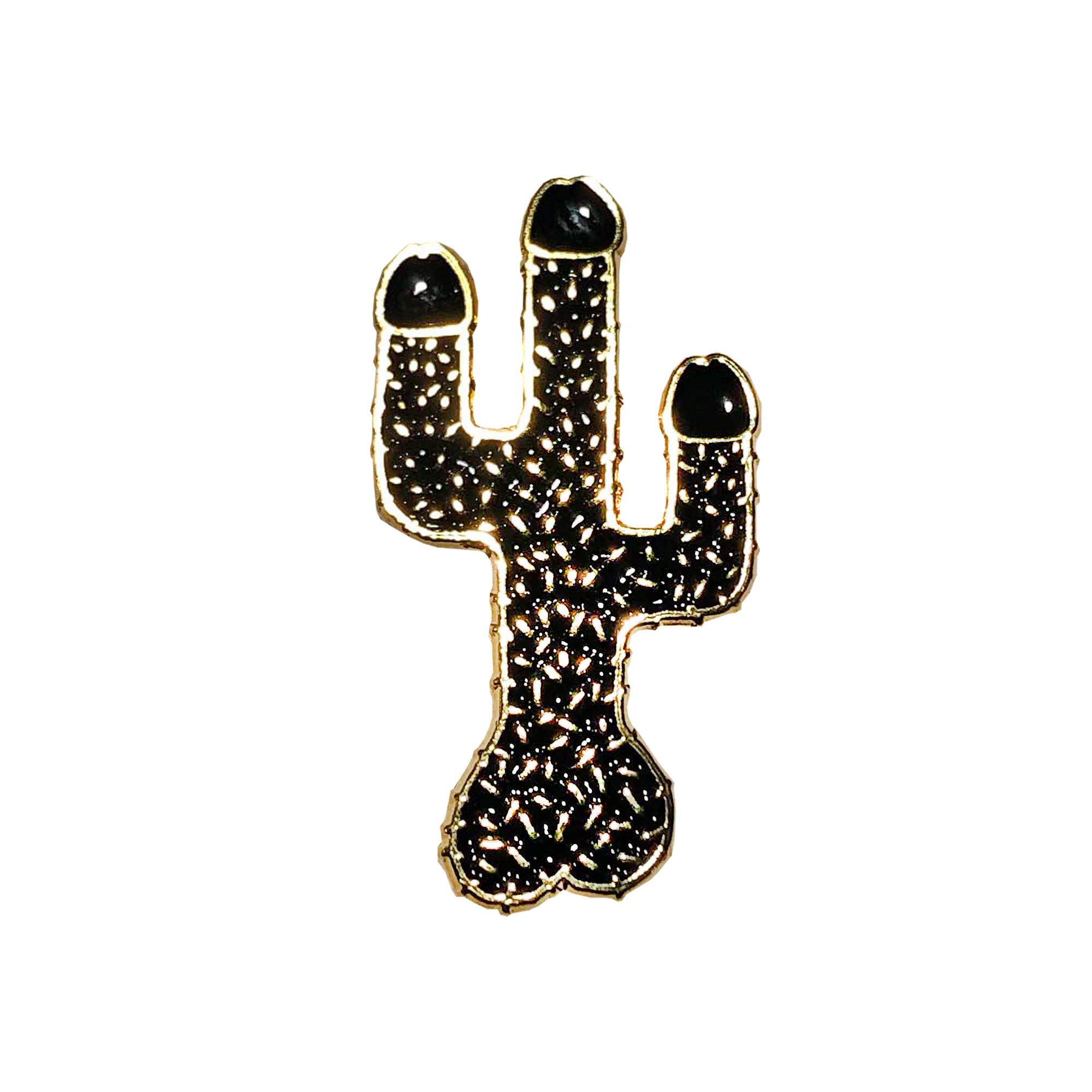 Funny Cactus Pin